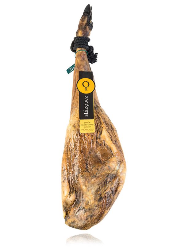 copia de 5550194